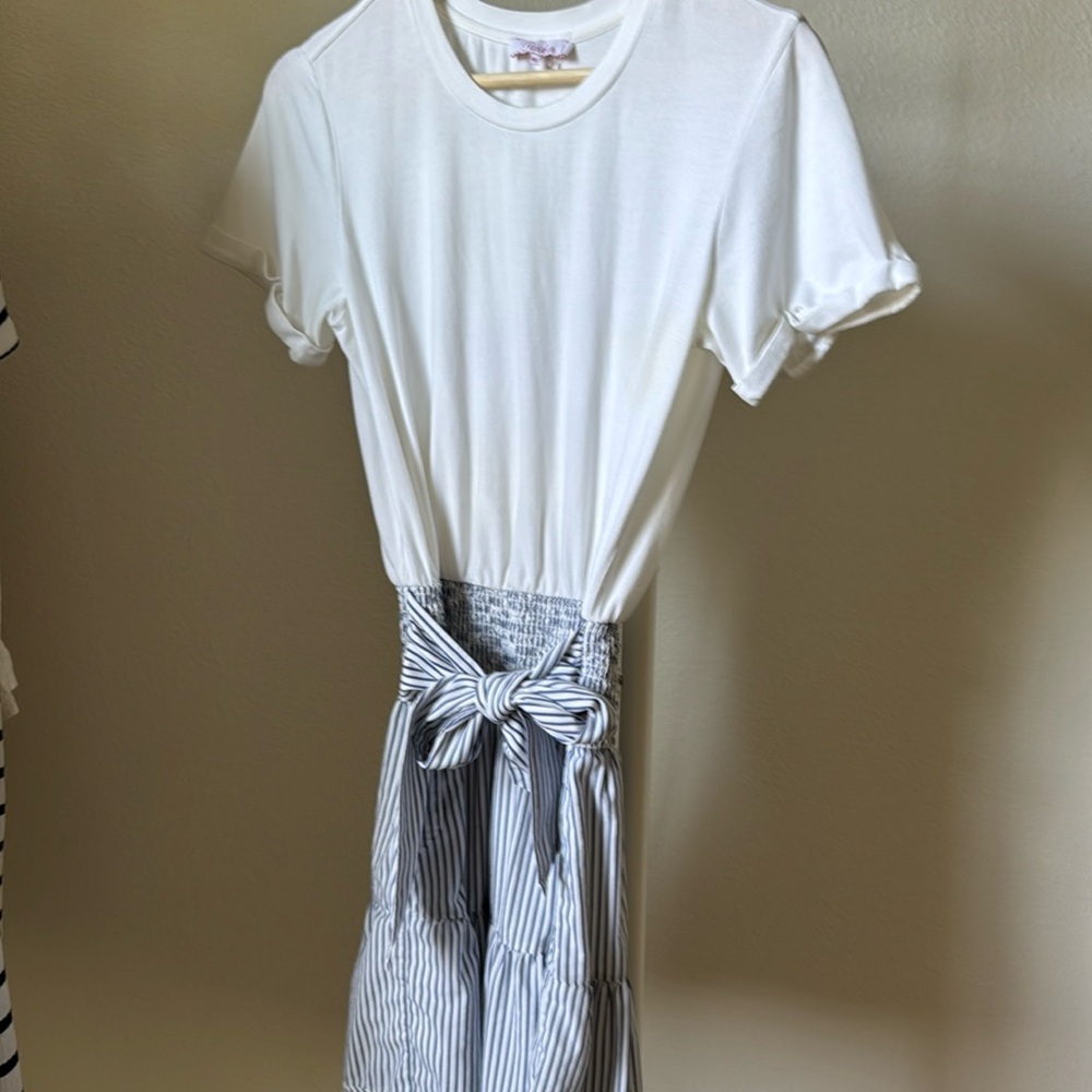 Parker White and Blue Striped Dress